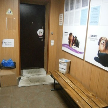Ветеринарная клиника Барс в Автозаводском районе фото 1
