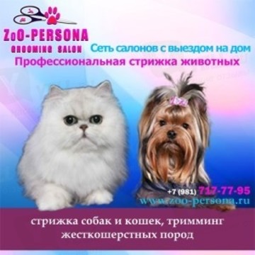 Груминг салон ZoO-PERSONA фото 1