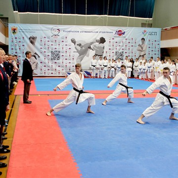 Региональная общественная физкультурно-спортивная организация «Карельская федерация каратэ» фото 1