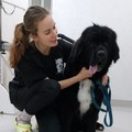 Фотография специалиста Касицына Карина Игоревна