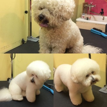 Зоосалон Sweet Pet на Стародеревенской улице фото 1