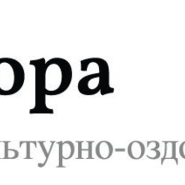 Физкультурно-оздоровительный центр Опора фото 2