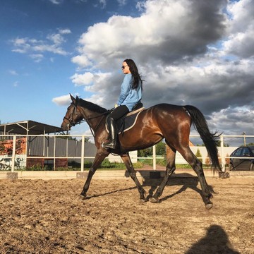 Конный клуб Сармат фото 1