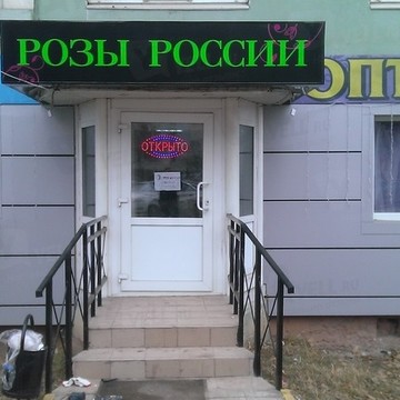 Роза России фото 2
