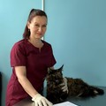 Фотография специалиста Бузова Наталья Владимировна