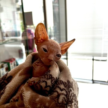 Ветеринарная клиника Барс фото 3