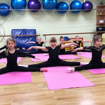 Школа художественной гимнастики GymBalance в Юго-Западном фото 2