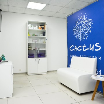 Клуб эстетики Cactus фото 1