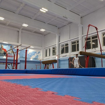 Школа спортивной гимнастики Ополченец во 2-м Южнопортовом проезде фото 3