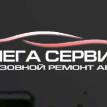 Автосервис Мега-Сервис на улице Василия Петушкова фото 1