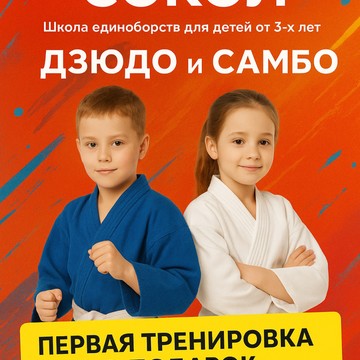Спортивный клуб Сокол фото 2