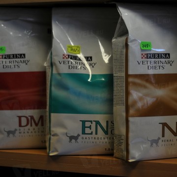 Ветеринарный кабинет Домашний любимец фото 1