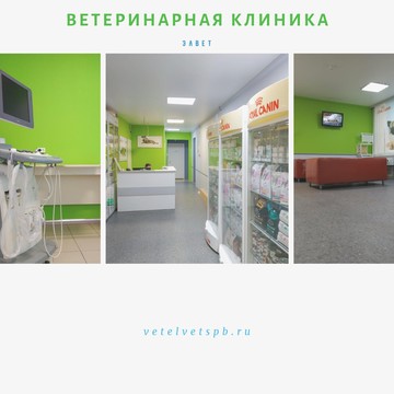 Ветеринарная клиника ЭЛВЕТ на проспекте Юрия Гагарина фото 2