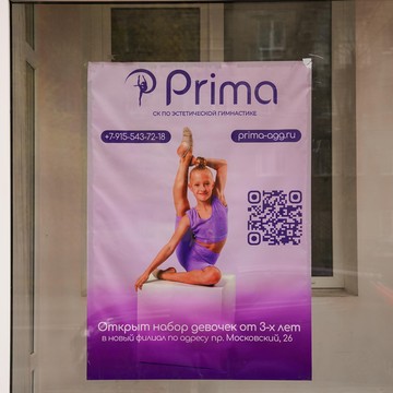 Спортивный клуб по эстетической гимнастике Prima на Московском проспекте фото 3
