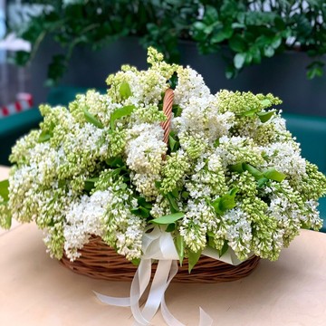 Цветочный магазин pionomania фото 2