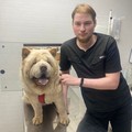 Фотография специалиста Молодкин Андрей Игоревич