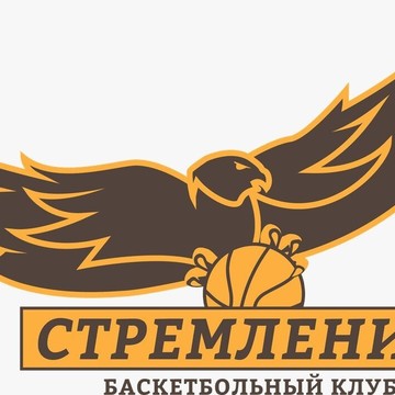 Баскетбольный клуб Стремление на Алексеевской фото 1