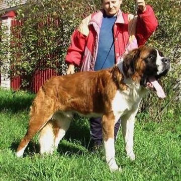 Питомник животных Жемчужина Дубны фото 1