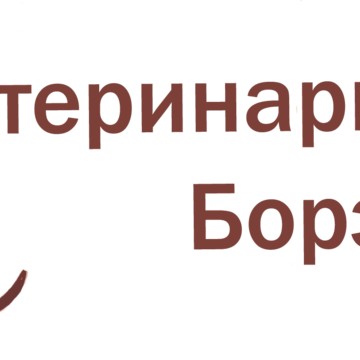 Кабинет ветеринарной хирургии Борзенко Е. В. фото 1