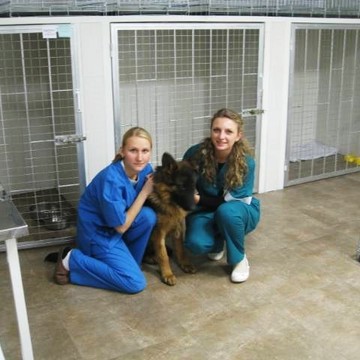 Областная ветеринарная клиника Ступино фото 3