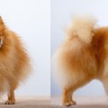 Фотография специалиста Кузнецова Татьяна
