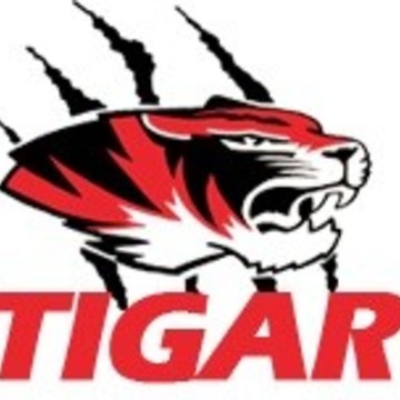 Шины Tigar фото 1
