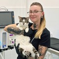 Фотография специалиста Тифанова Валентина Юрьевна