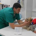 Фотография специалиста Топчиев Сергей Владимирович