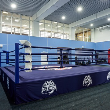 Международный центр прогресса бокса на улице Бзугу фото 3
