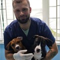 Фотография специалиста Тарханов Давид Андреевич