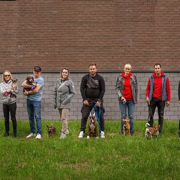 Школа для собак Dogfriend фото 3