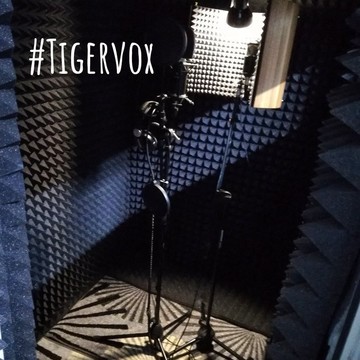 Студия звукозаписи Tiger Vox Records фото 3