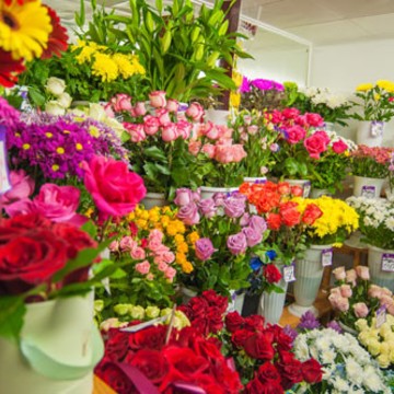 Crocus в Падунском округе фото 1