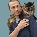 Фотография специалиста Реутов Евгений Андреевич