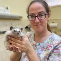 Фотография специалиста Андреева Мария Викторовна