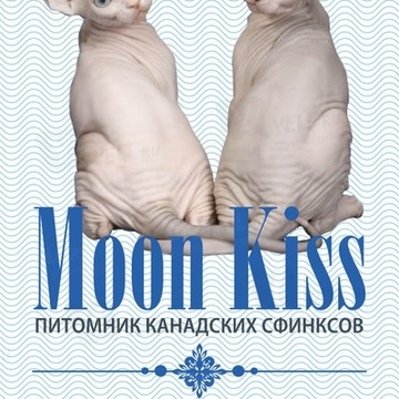 Moon Kiss фото 1