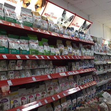 Mobile Photo Upload 1218063