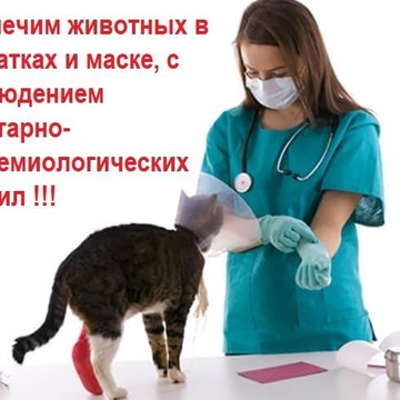 Выездная служба ветеринарной помощи НЕОТЛОЖКА на проспекте Ленина фото 2