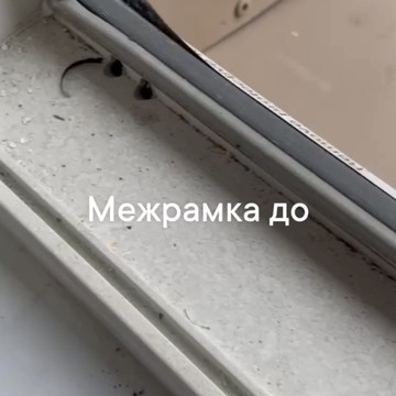 Фемили фото 2