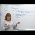 Фотография специалиста Лурий Дина