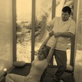 Фотография специалиста Владимир Орлов