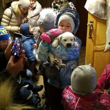 Центр детского развития Школа Знайки на проспекте Юрия Гагарина фото 3