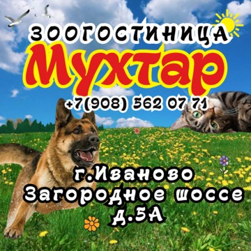 Зоогостиница &quot;Мухтар&quot; Иваново фото 1