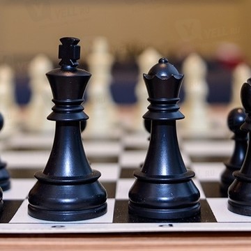 Русская шахматная школа на Пионерской фото 1