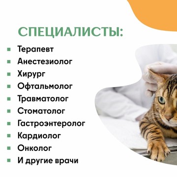 Ветеринарная служба Домашний ветеринар на улице Академика Грушина фото 3