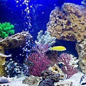 Готовые аквариумные решения фото 1
