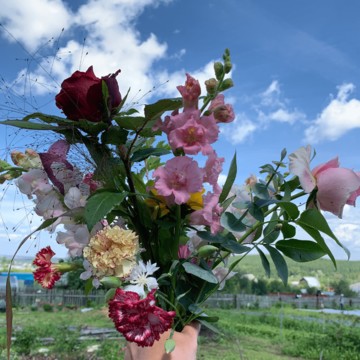 Питомник Ягодное Поле фото 2