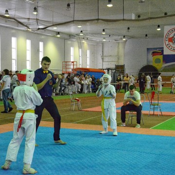 Спортивный клуб киокусинкай каратэ Белый тигр в Советском районе фото 3