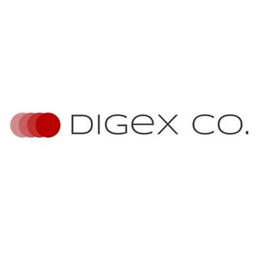 ИТ-компания Digex Co. фото 1