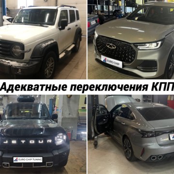 Евро Чип Тюнинг фото 3